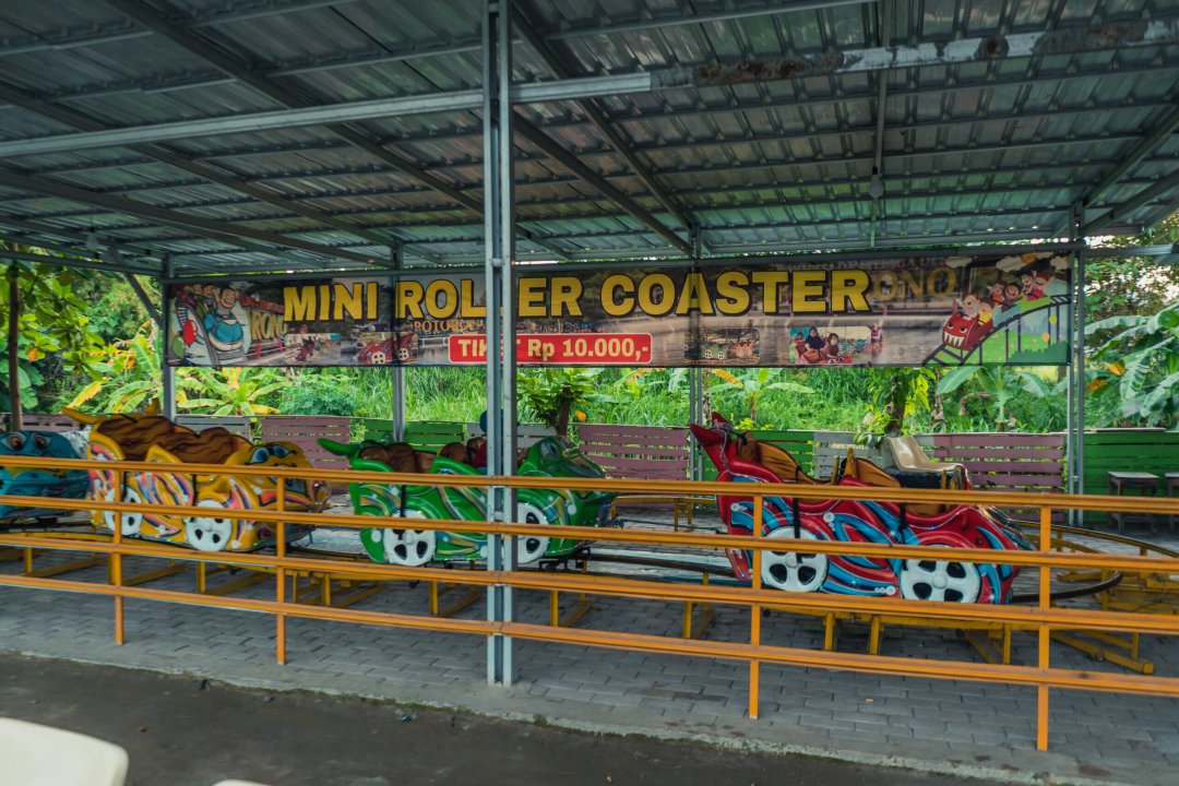 Mini Roller Coaster